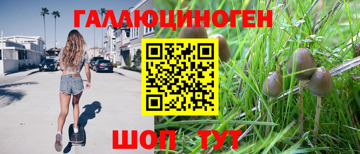 Псилоцибиновые грибы мухоморы Партизанск