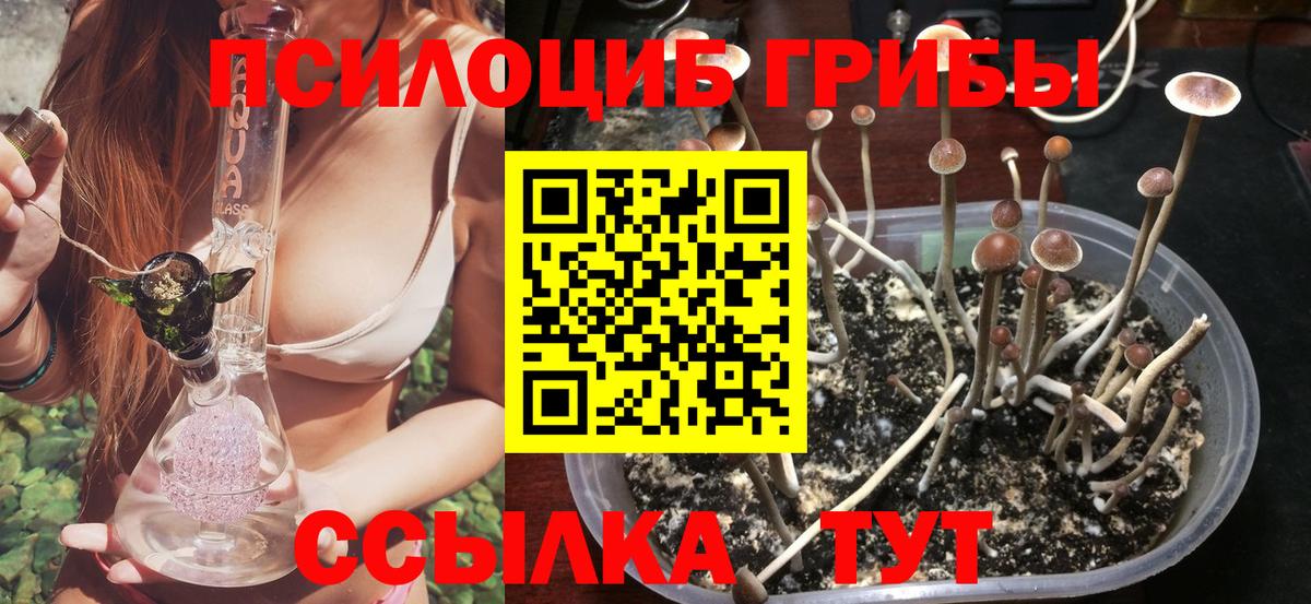 Амфетамин кристаллы  Вход с VPN  Партизанск  А ПВП СОЛЬ   Гашиш  Бошки Шишки  МЕФ кристаллы 