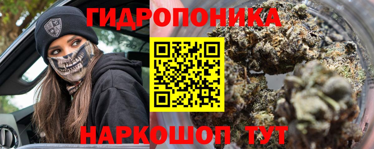 Бошки марихуана OG Kush  Бошки марихуана план  Бошки Шишки индика  Канабис AK-47  Партизанск  Вход с VPN 